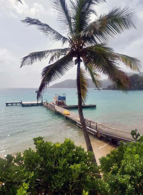 Tobago: Little Tobago Bird Sanctuary Visit and Boat Tour - Glass-bottom boat views around Goat Island