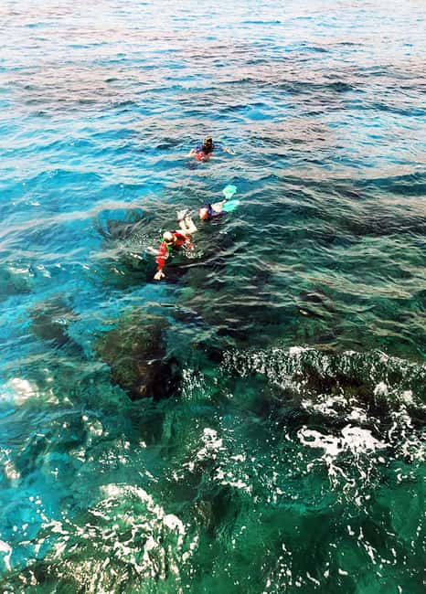 Tobago: Little Tobago Bird Sanctuary Visit and Boat Tour - Returning by boat and deciding how much water time you want