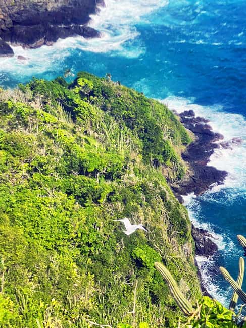 Tobago: Little Tobago Bird Sanctuary Visit and Boat Tour - Weather, walking, and what to pack