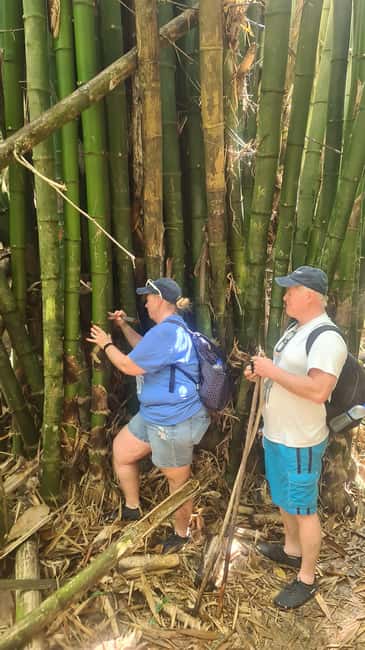 Trinidad: Avocat Waterfall and Maracas Bay Beach Tour - Is $115 per person fair?
