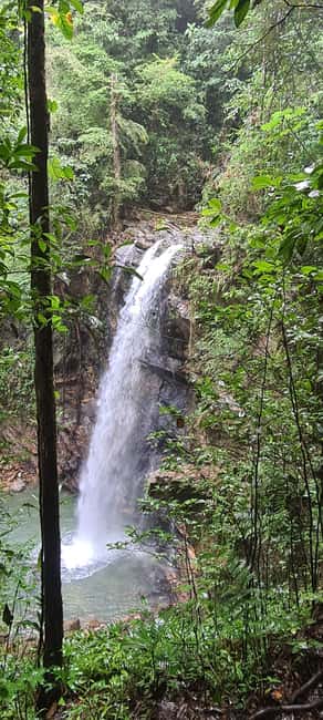 Trinidad: Avocat Waterfall and Maracas Bay Beach Tour - What to bring and who should book