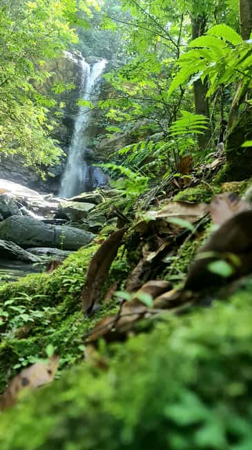 Trinidad: Avocat Waterfall and Maracas Bay Beach Tour - The drive toward Avocat Waterfall