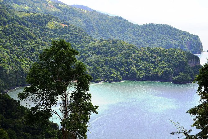 Trinidad Highlights Tour from Port of Spain - Royal Botanical Gardens: the tour’s quiet pause