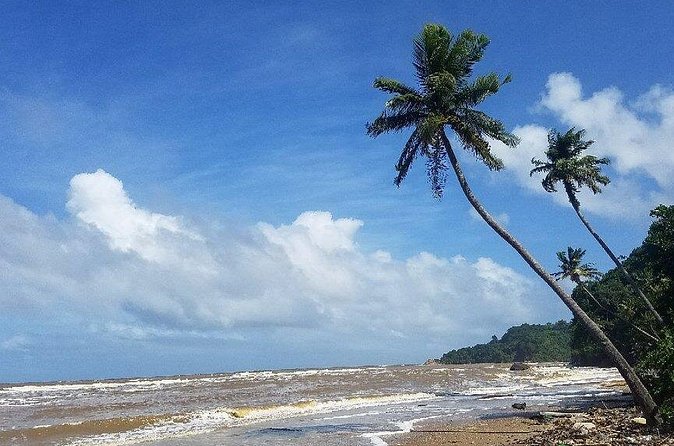 Trinidad Island Circle Tour with Pickup - Why the guide matters more than the route