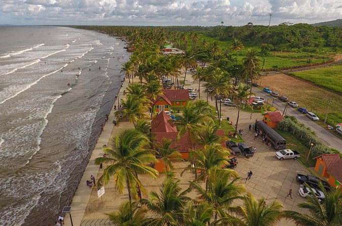 Trinidad Island Circle Tour with Pickup - Is $135 a fair price?
