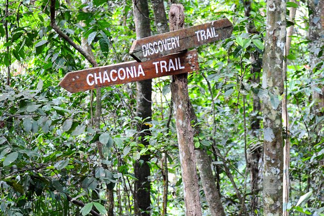 Trinidad Nature and Asa Wright Center Full-Day Tour from Port of Spain - Is $230 a fair price?