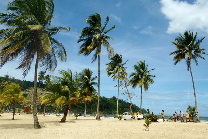 Trinidad Northern Eco-Cultural Full-Day Highlights Tour from Port of Spain - Why the Sunset Timing Matters