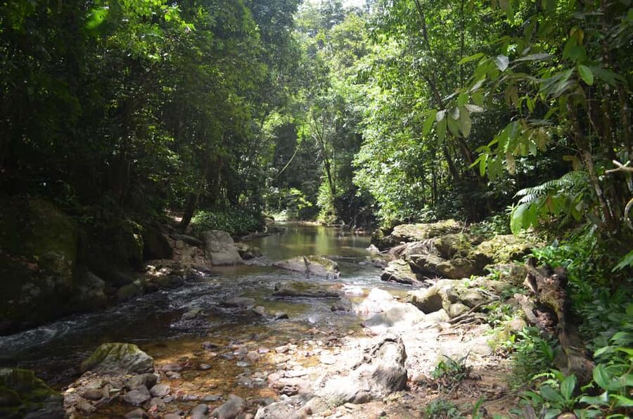 Trinidad: Rainforest Hike to Avocat Waterfall - Key points at a glance