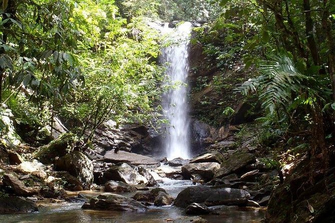 Trinidad Rainforest Hike to Waterfall - What makes this Trinidad day trip worth considering