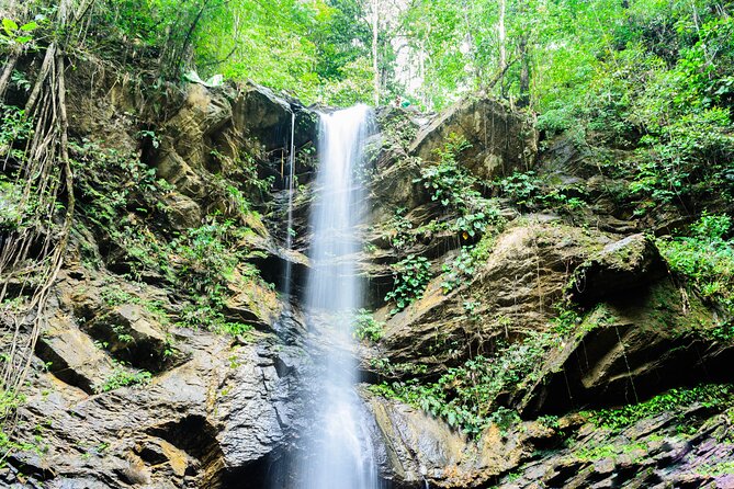 Trinidad Rainforest Hike to Waterfall - Safety, fitness, and comfort
