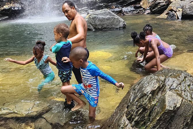 Trinidad Rainforest Hike to Waterfall - Which guide style suits you best?