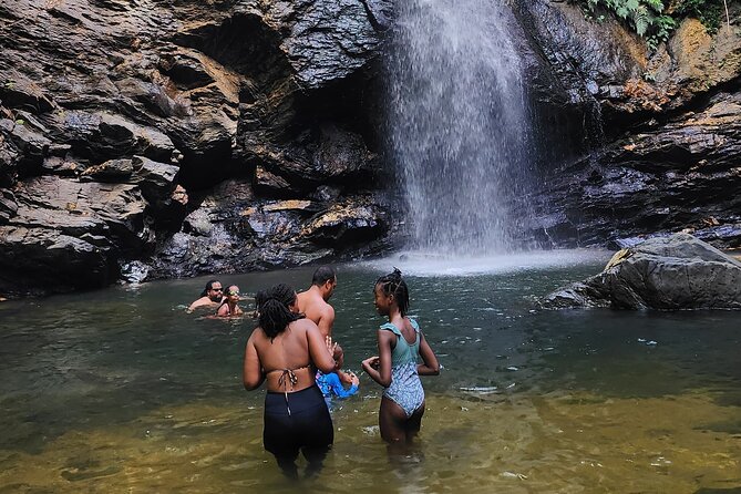 Trinidad Rainforest Hike to Waterfall - Booking details and cancellation terms