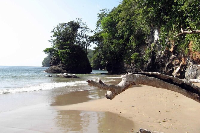 Trinidad True North Coast Excursion - Tyrico Bay offers a different beach mood