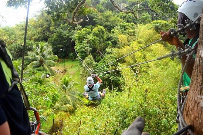 Trinidad Zipline Adventure - Key points to know before you book