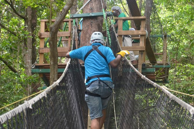 Trinidad Zipline Adventure - From Port of Spain to the North West Coast