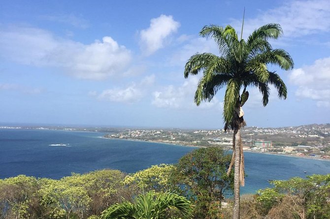 VIP Inclusive Private Tour of Island (Lunch, Drinks + Snorkeling) - Five details that shape the day
