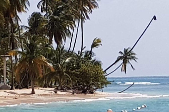 VIP Inclusive Private Tour of Island (Lunch, Drinks + Snorkeling) - Speyside Lookout and the islands beyond