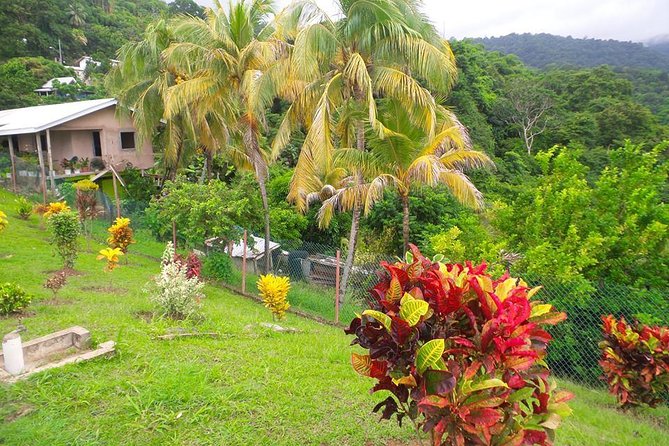 VIP Inclusive Private Tour of Island (Lunch, Drinks + Snorkeling) - Englishman’s Bay as the final coastal look