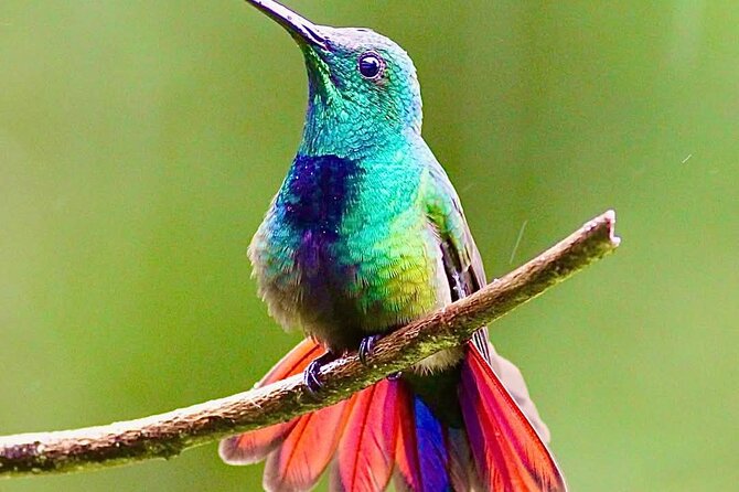 Yerette Home of the Hummingbird - Getting there without planning the transport yourself